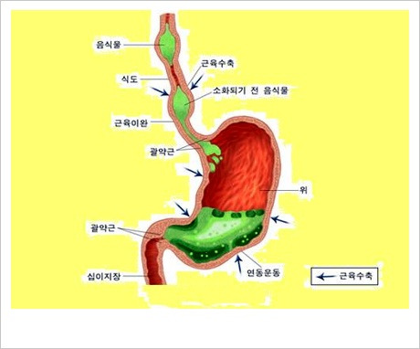 카페인(CAFFEINE) 이미지
